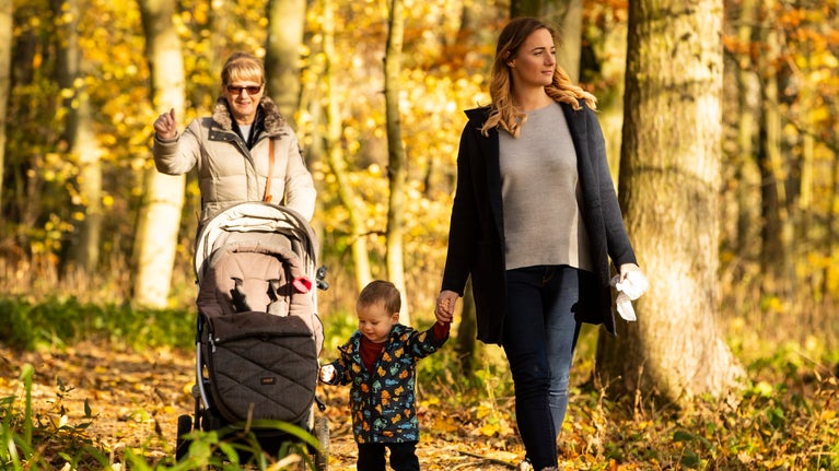Visitors enjoying an autumnal walk on the estate at Wallington, Northumberland